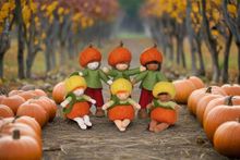 Handmade Pumpkin Pixie Doll by Ambrosius – Eco-Friendly Wool Felt Waldorf Toy from Eco Flower Fairies LLC